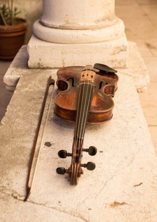 Violina